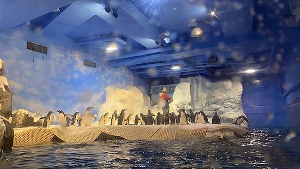 202057_200507_0030