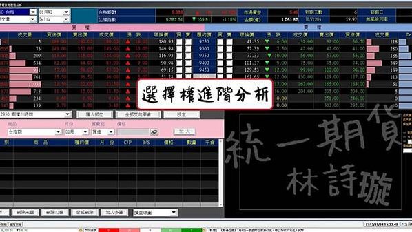 統eVIP全球版（國內外整合）