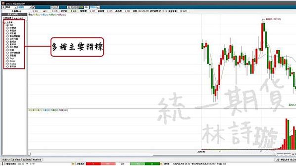 統eVIP全球版（國內外整合）