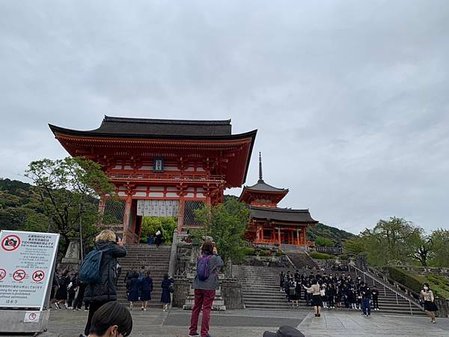 ［京都自駕遊］京都寺廟走斷腿之旅