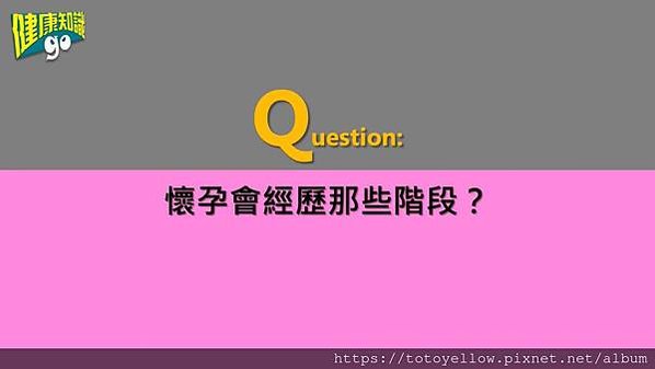 孕婦保健食品｜準備懷孕、初期、中期、後期