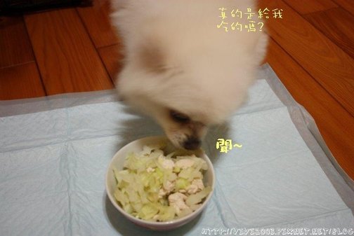 2009.03.19