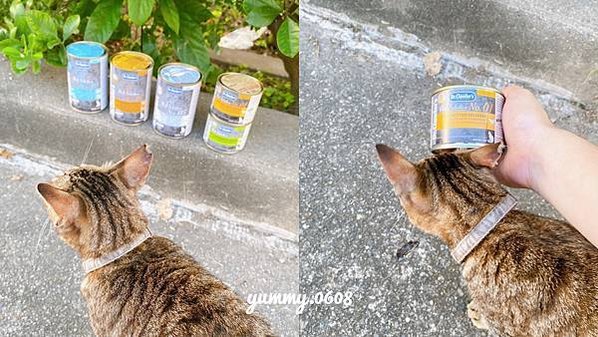 好物開箱│克勞德博士 德國品牌 嚴選主食貓罐 大小貓貓通吃的貓罐罐 (13)