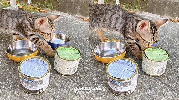 好物開箱│克勞德博士 德國品牌 嚴選主食貓罐 大小貓貓通吃的貓罐罐 (9)