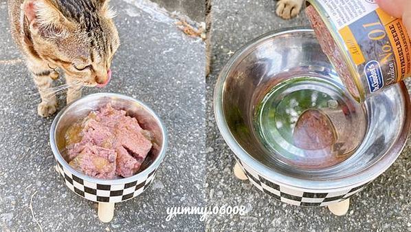 好物開箱│克勞德博士 德國品牌 嚴選主食貓罐 大小貓貓通吃的貓罐罐 (5)
