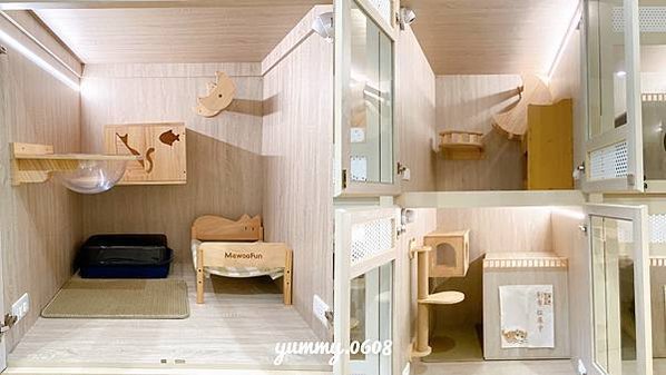 台中西屯│以為有貓 ewaycats 台中首選安心貓旅館 內含最新房型、住宿價格 貓咪住宿推薦！！