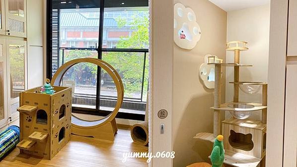 台中西屯│以為有貓 ewaycats 台中首選安心貓旅館 內含最新房型、住宿價格 貓咪住宿推薦！！