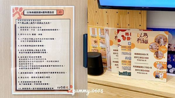 台中西屯│以為有貓 ewaycats 台中首選安心貓旅館 內含最新房型、住宿價格 貓咪住宿推薦！！