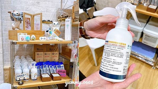 台中西屯│以為有貓 ewaycats 台中首選安心貓旅館 內含最新房型、住宿價格 貓咪住宿推薦！！