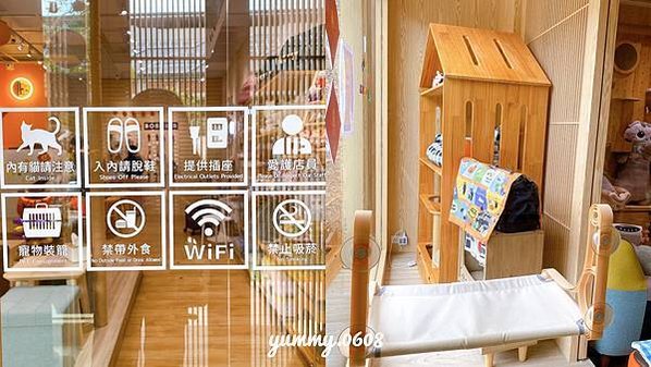 台中西屯│以為有貓 ewaycats 台中首選安心貓旅館 內含最新房型、住宿價格 貓咪住宿推薦！！
