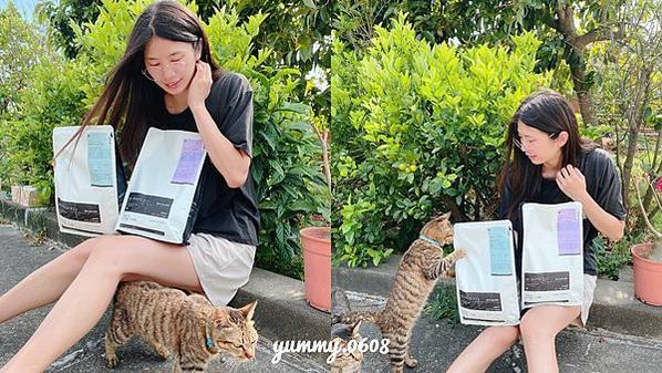 貓咪飼料開箱│喵皇奴 PURRSUIT！貓咪凍乾飼料推薦 貓咪凍乾飼料評價 (6)