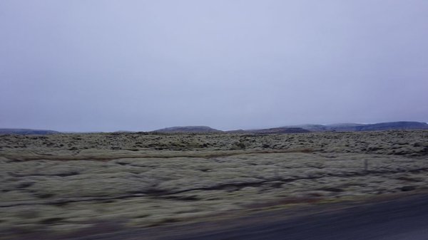 DSC01307.JPG