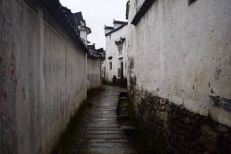_DSC0061.JPG