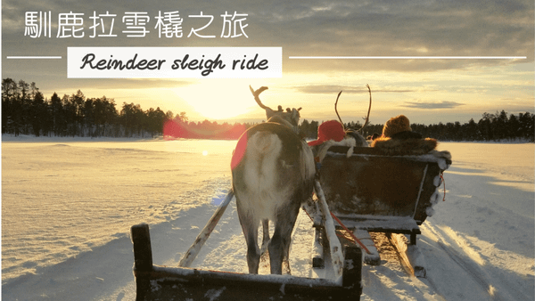 Inari 馴鹿拉雪橇