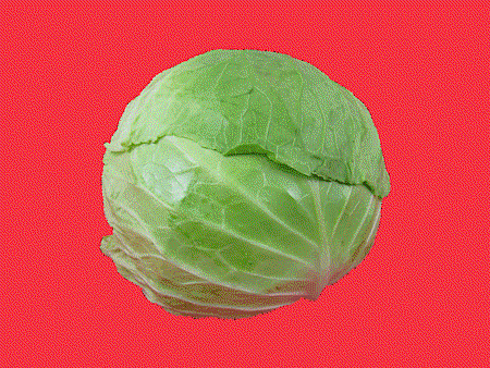 修圖