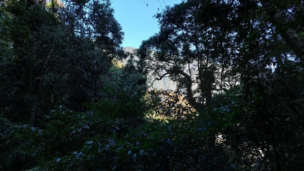 狗狗登山〉台中和平．谷關七雄．唐麻丹山