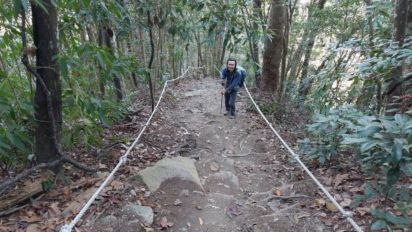 狗狗登山〉台中和平．谷關七雄．唐麻丹山