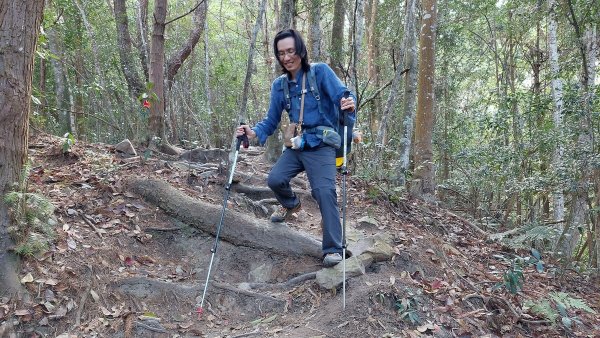 狗狗登山〉台中和平．谷關七雄．唐麻丹山