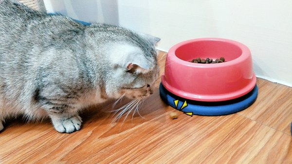 IMG_20180930_153613.jpg