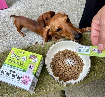威旺WeWant-犬用好心情益生菌～適時幫狗狗補充益生菌是健