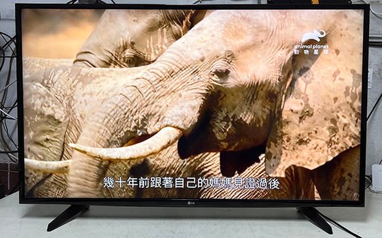 LG 樂金 液晶電視 49UH610T  畫面變藍 變暗 故