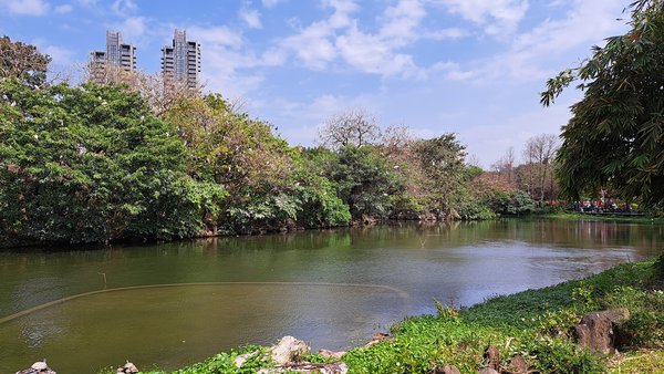 臺北好地方～大安森林公園&amp;永康隨走