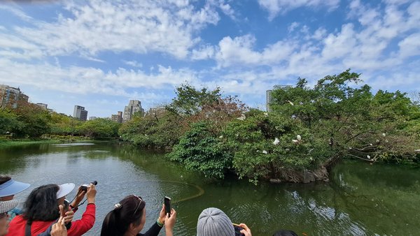 臺北好地方～大安森林公園&amp;永康隨走