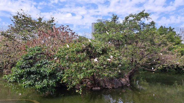 臺北好地方～大安森林公園&amp;永康隨走