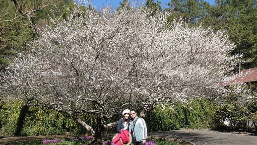 DSC04891.JPG