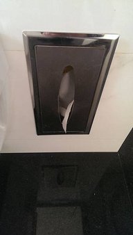 IMAG1110.jpg