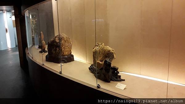 20180601_153313 (Copy).jpg