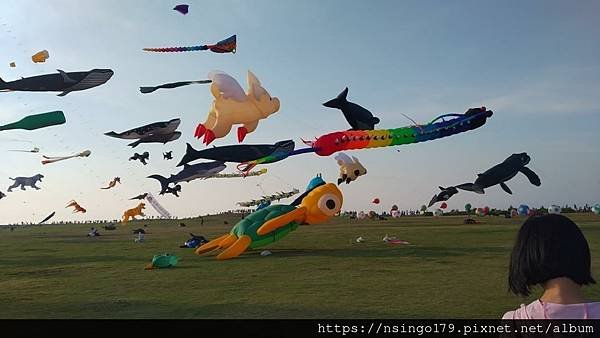 IMG_20220917_164347.jpg