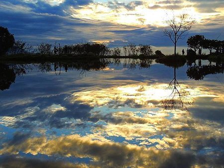 大自然的恩典系列（三）桃花流水窅然去……