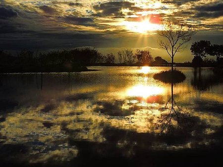 大自然的恩典系列（三）桃花流水窅然去……