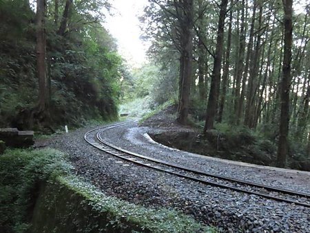 阿里山之旅（二）眠月後的星光與太陽