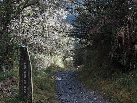 冬遊太平山（二）寂靜山徑