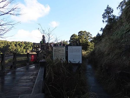 冬遊太平山（二）寂靜山徑