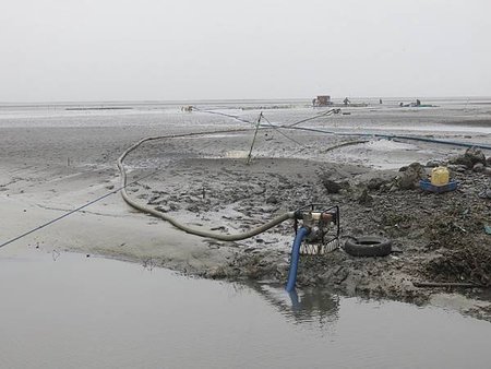 彰化海岸濕地，圓一個「海牛」的夢