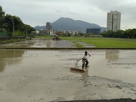 春耕的水田