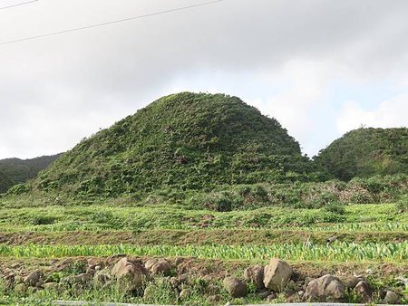 蘭嶼徒步環島系列（二）部落觀察—芋頭篇