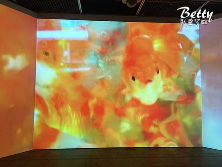 【蜷川實花展 MIKA NINAGAWA】來襲當代！ (5).jpg