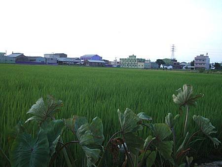 DSC02029.jpg