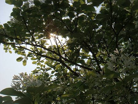 DSC09693