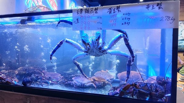 小海水產_人氣火鍋_新北永和_海鮮火鍋_海鮮推薦_小海菜單_帝王蟹04.jpg