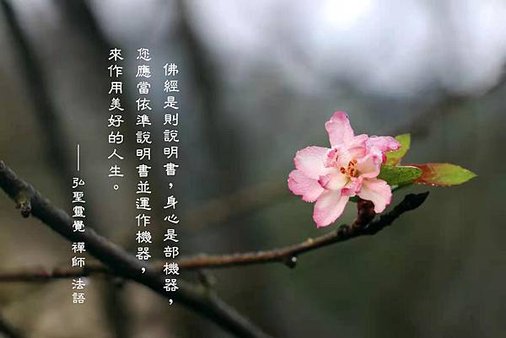 2021 弘聖靈覺 禪師 法語桌曆~2月 (1).jpg
