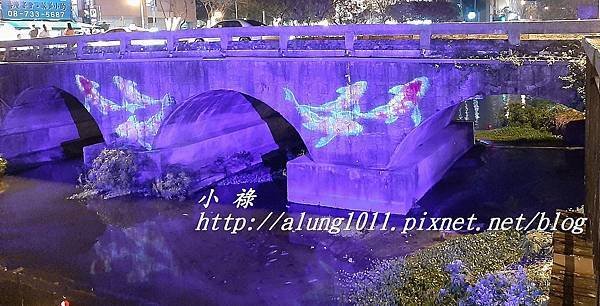 繁花盛豔 (6).jpg