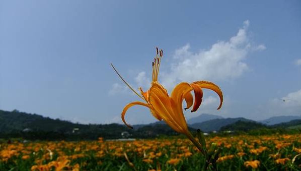 DSCF8709