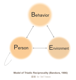 Social Cognitive_ Triadic Reciprocality