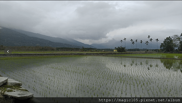 花蓮鳳林菸樓 