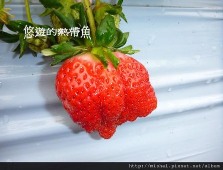 圖片6